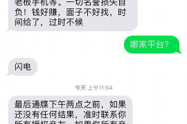 虎林如何避免债务纠纷？专业追讨公司教您应对之策